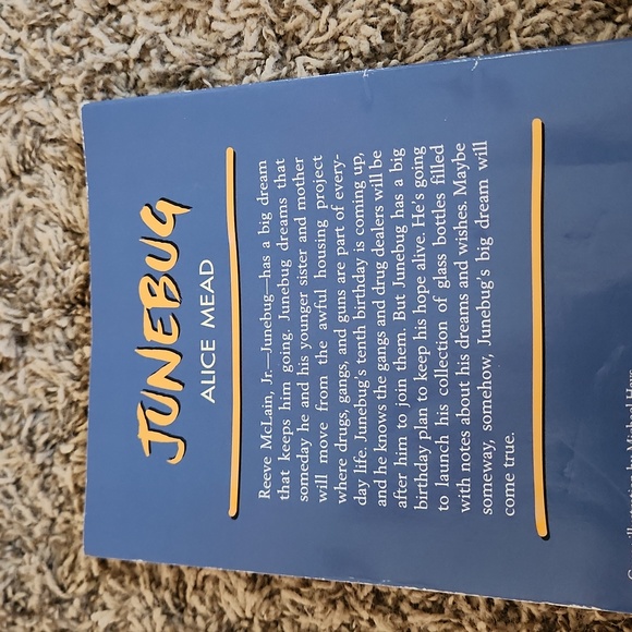 Junebug Children's book by Alice Mead - Picture 3 of 5